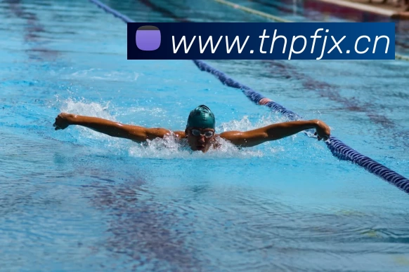 多媒体互动体验